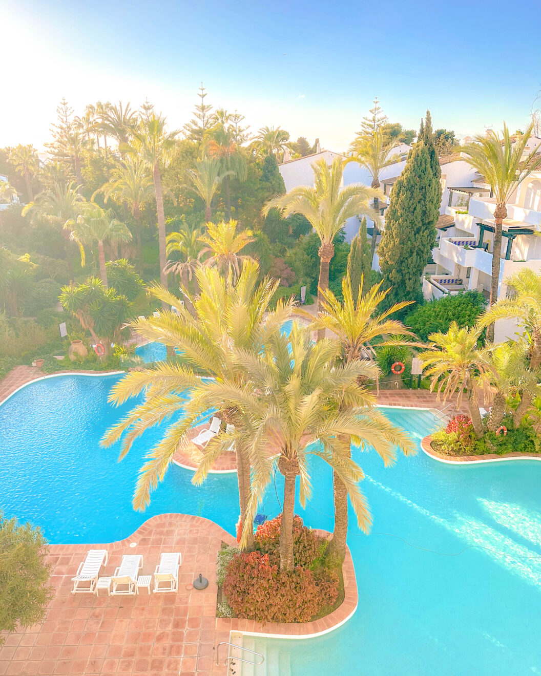 View of swimming pool and palm trees from puente romano penthouse